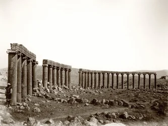 Den ovale søjlepiazza fra nordvest, Jerash, 1867