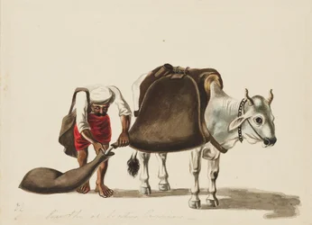 Vandbærer, c1810