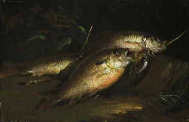 Fisk, 1842.