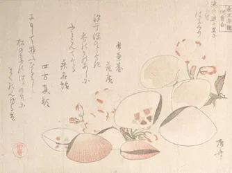Kirsebærblomster og skaller, 1800-tallet., 1800-tallet.