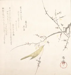 Nymåne, Nattergal på en blommegren, 1800-tallet., 1800-tallet.