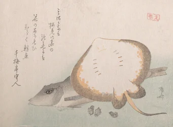 Stingray og Gurnard, sandsynligvis 1815., sandsynligvis 1815.