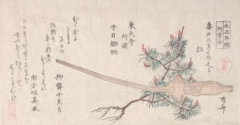 Young Pine Tree and the Handle of a Plough, 1800-tallet., 1800-tallet.