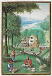 (Hel folio) Kalenderminiature for juni, der viser to mænd, der klipper får, med et sommerhus i baggrunden.