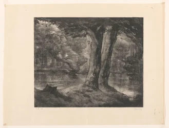 Vand i en skov Forest view (original titel)