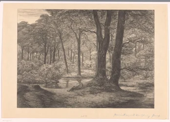 Udsigt over Hunnenschans på Veluwe The Hunnenschang (original titel)
