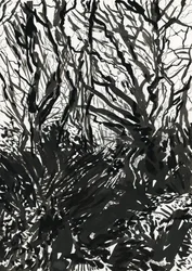 Ham Common Woods (blæk og grafit på papir)