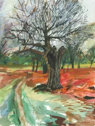 Gammelt træ, Richmond Park, 2019 (akvarelblyant og akrylfarvemarkør på papir)
