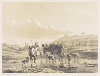 Hyrde dreng med flok på lavt vand