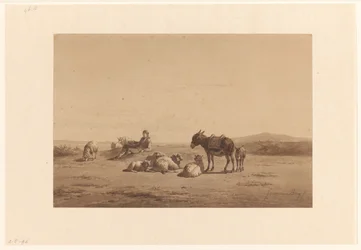 Hvilende hyrde med æsel