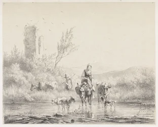 Kvinde på æsel og hendes flok