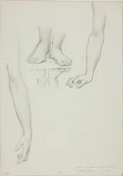 Studie til Mirror of Venus: Arms and Feet of Venus
