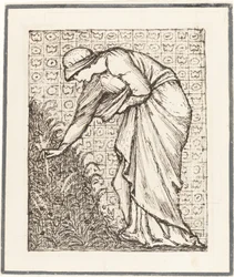 Lady plukker blomster