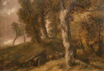 Studie af træer, 1874.