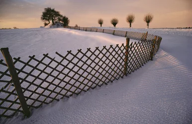 En vikingegrav i sneen nær Elverhoej, Danmark i vintersneen, 2022 (foto)