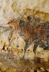 Detalje af indgraveret maleri af hestehoveder, Lascaux.