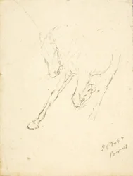 Hest