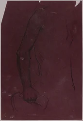 Torso, studie til ryttermonument