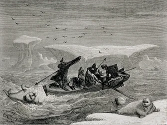 Jagt hvalros med harpuner på Spitsbergen-øerne, Svalbard-øgruppen, illustration fra 