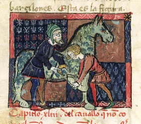 Ms 214 fol.46v Skoning af en hest, fra Libro de Menescalcia y Albeyteria af Juan Alvarez, ca. 1390