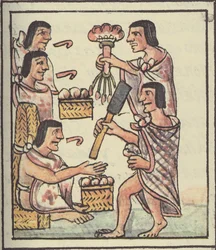 Fru Palat. 218-220 En aztekisk fest, fra den florentinske kodeks af Bernardino de Sahagun, ca. 1540-85