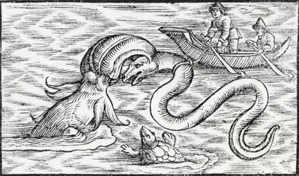 Sømonstre, 1511