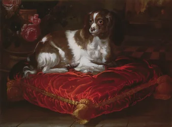 Spaniel på en pude