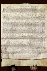 Maria de Molinas (eller Maria Alfonso de Meneses) vilje