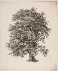 "Studier efter Naturen med Hensyn til Landskabstegning af S.H. Petersen", nr. 2