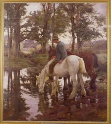 Drikkestedet