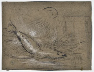 Fiskestudie (tegning)