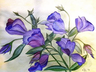 lilla blomster