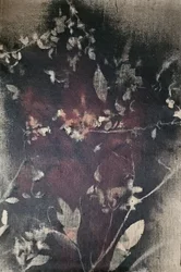 Vintage botanisk udtoning