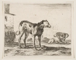 Tavle 11: hunde, fra Diverse dyr Diversi animali, ca. 1641.