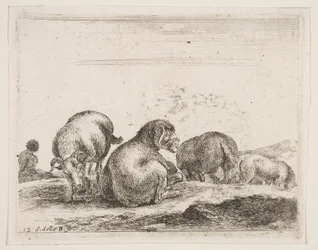 Tavle 12: får og vædder på græs, fra Diverse dyr Diversi animali, ca. 1641.