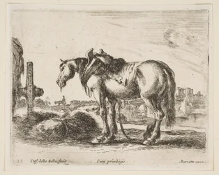 Tavle 22: vognhest, fra Diverse dyr Diversi animali, ca. 1641.