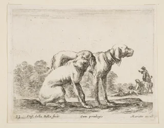 Plade 23: to hunde, fra Diverse dyr Diversi animali, ca. 1641.