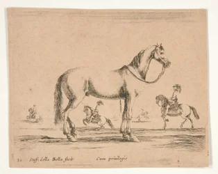 Rytterløs hest med ryttere, der dyrker dressur i baggrunden