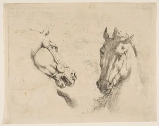 To hestehoveder, ca. 1649.