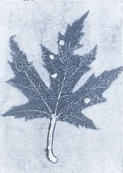 Gone II, 2015 (monoprint på papir)