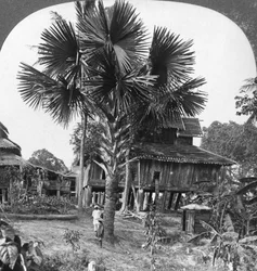 Indfødt hus bygget på pæle, Bhamo, Burma, 1908