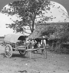 Landsbyhus bygget af bambus og blade, Burma, 1908.