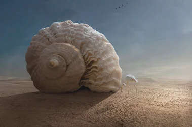 Flamingo og kæmpeskal