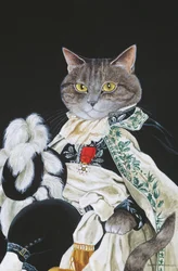 Illustration fra Cats Galore! Et kompendium over kultiverede katte (udg. 2015)