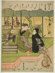 C wear hayashi at Asakusa (Asakusas sexsøjle), fra Te-serien ``English ght facio na be views of Edo (Furyu Eight Views of Edo)