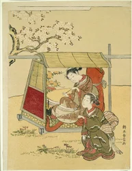 Hviler i en Palanquin under Cherry Blossoms