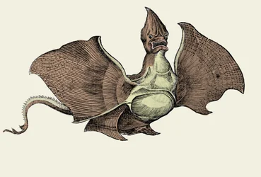 Fantastisk havmonster, illustration fra 