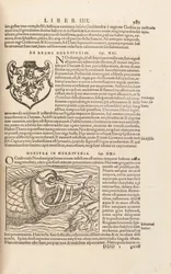 Side 983 fra Cosmographiae Universalis af Sebastian Muenster, Basel, 1572