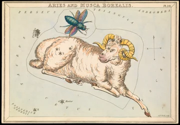 Vædder og Musca borealis, ca. 1825 (kort, papir, væv)