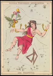 Gloria Frederich, Andromeda og Triangula, ca. 1825 (kort, papir, væv)